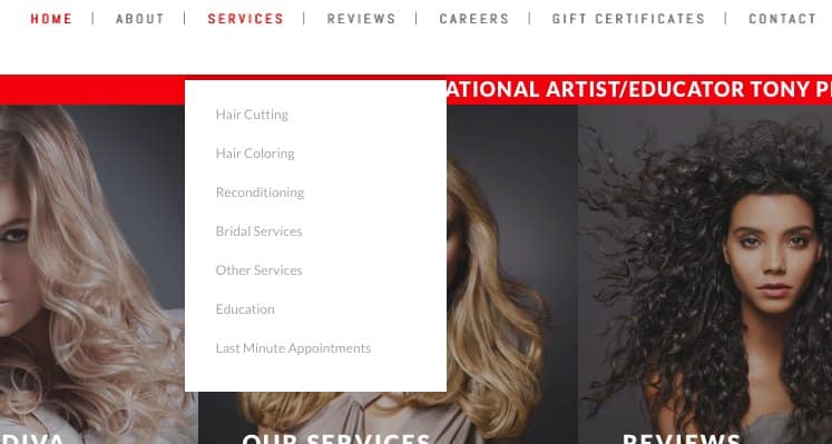 Screenshot of Salon Webpage