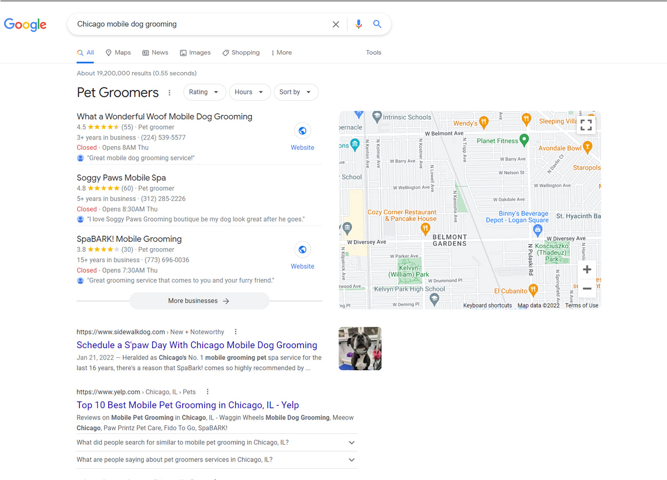 谷歌搜索结果显示芝加哥移动狗美容。