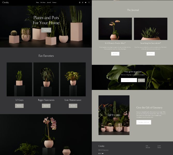 Showing Squarespace website template.