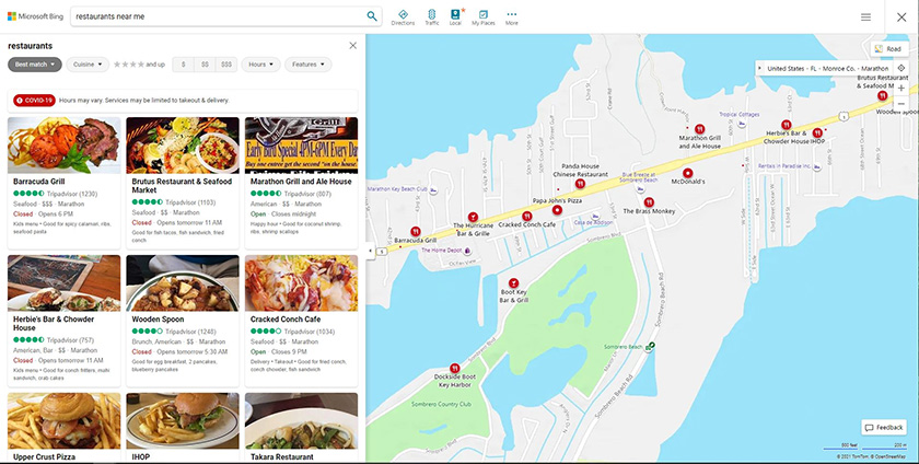 Bing Maps and local businesses search result.
