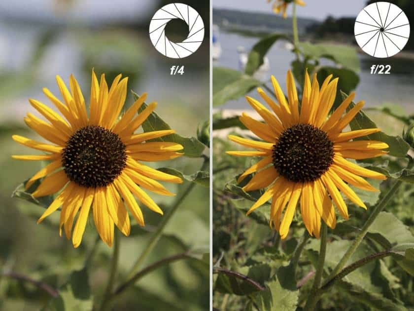 Example of Depth of field Low and High Aperture