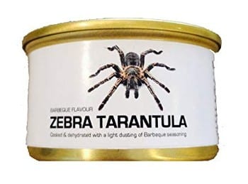 Zebra tarantula.