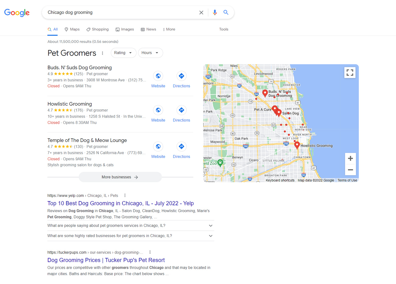 谷歌排名第一的芝加哥狗舍搜索结果。
