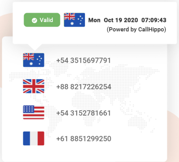 CallHipposample Global Connect numbers.