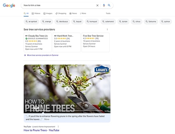 Google search result for how to trim a tree.