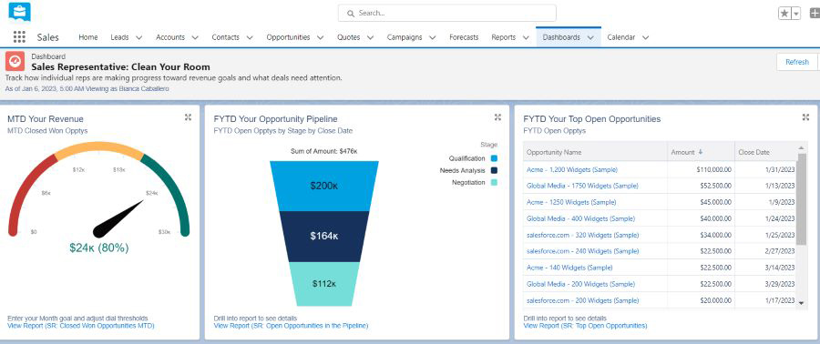 Screenshot of Salesforce's dashboard for individual sales rep performance.