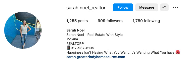 Real estate agent Instagram bio with tagline, 