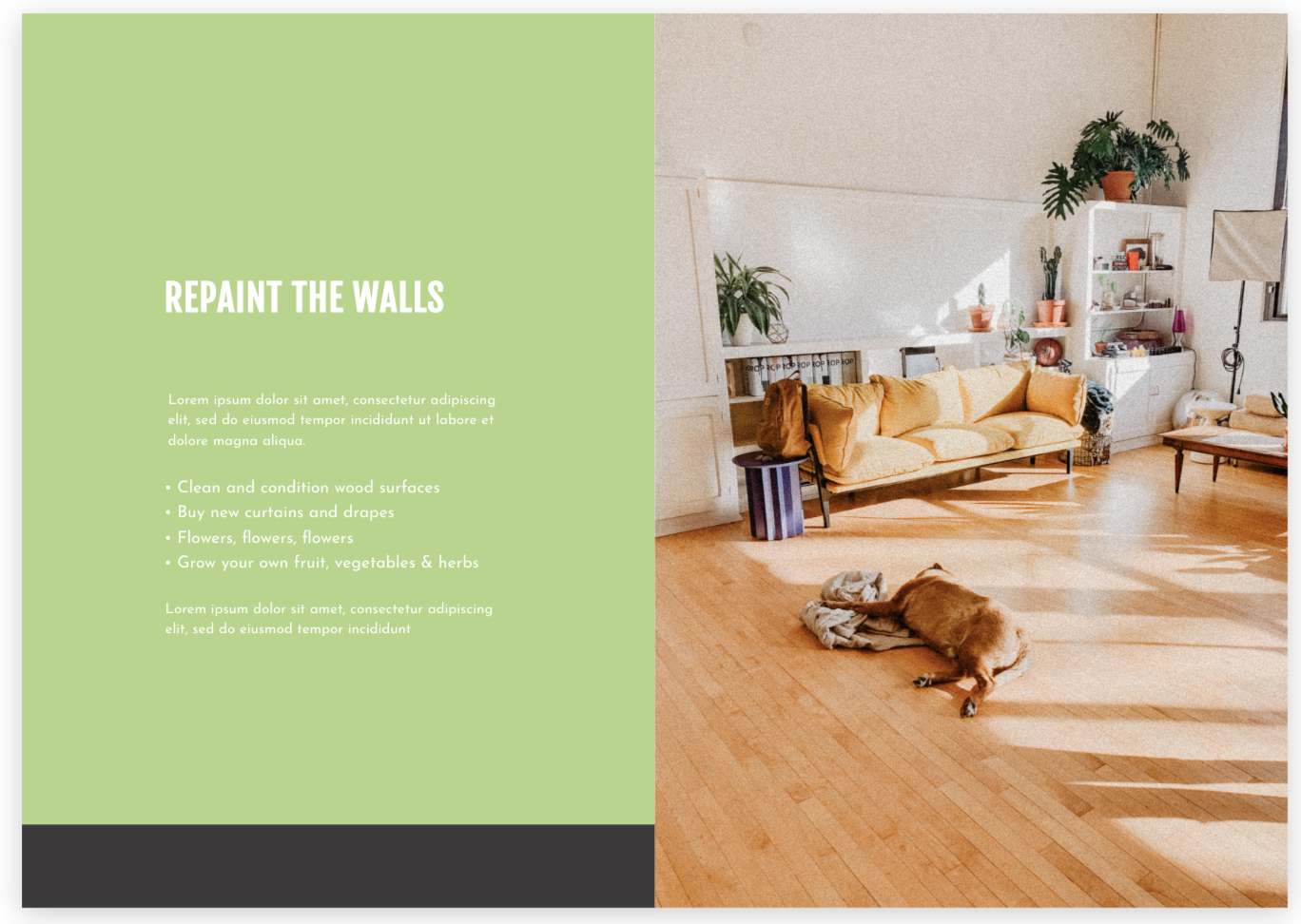 Living room with dog on floor and text on left side if image in a green background.