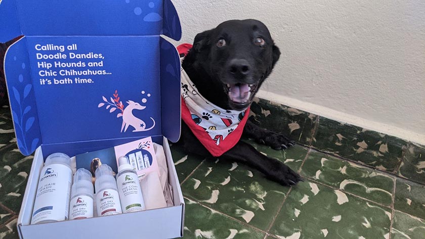 罗文运送其宠物护理产品的定制品牌包装与品牌上的微缩。
