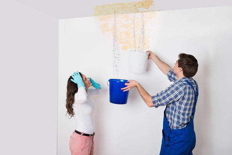 Two people holding buckets underneath a leaking ceiling.