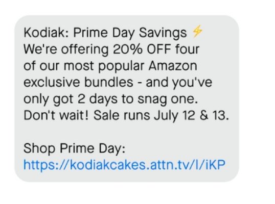 Sample SMS from Kodiak promoting a limited time sale.