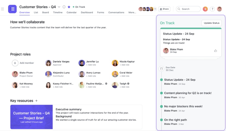 A project overview dashboard on Asana titled 